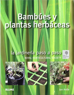 Jardinería paso a paso. BAMBÚES Y PLANTAS HERBÁCEAS
