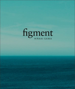 Figment