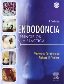Endodoncia