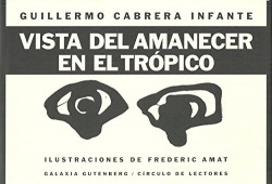 Vista del amanecer en el tropico