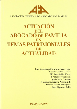 Actuacion del abogado de familia en temas patrimoniales de actualidad