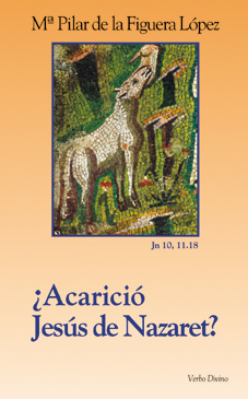 ¿Acaricio Jesus Nazaret?.(Surcos)