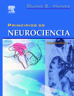 Principios de neurociencia