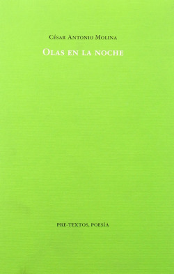 áOlas en la noche