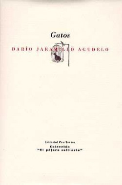 áGatos