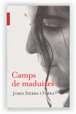 Camps de maduixes