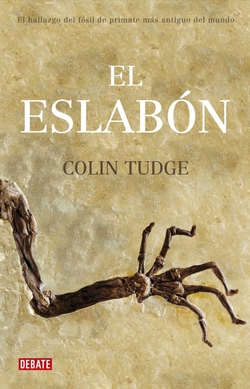 El eslabón