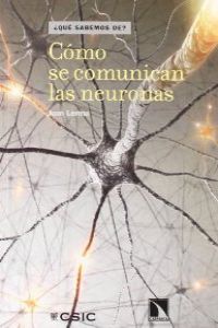 Cómo se comunican las neuronas