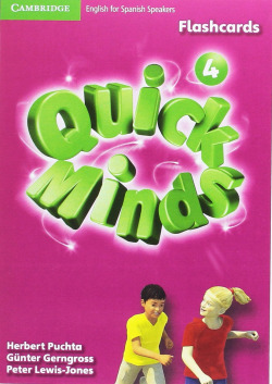 Quick Minds 4 Flashcards
