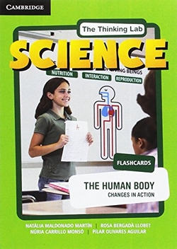 The Human Body Flashcards