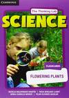 Flowering Plants Flashcards
