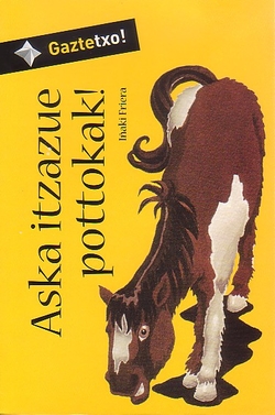 ASKA ITZAZUE POTTOKAK -N-