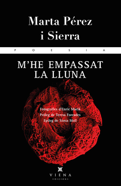 M'he empassat la lluna