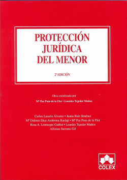 PROTECCION JURIDICA DEL MENOR. 2ª EDICION 2009