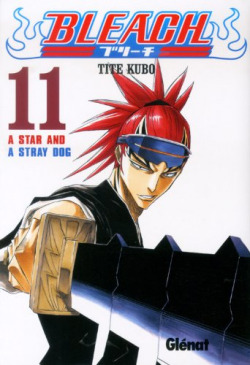 Bleach 11