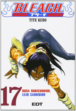 Bleach 17