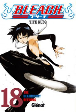 Bleach 18