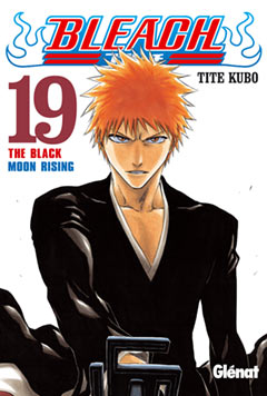 Bleach 19