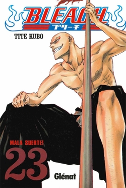 Bleach 23