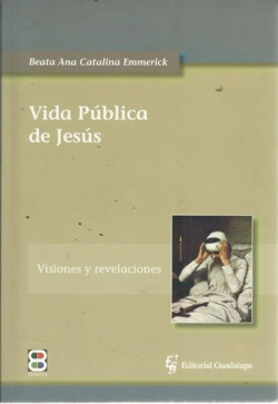 Vida pública de Jesús