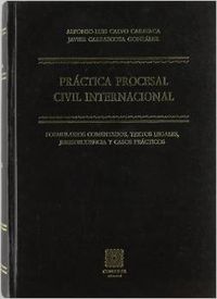 Práctica procesal civil internacional