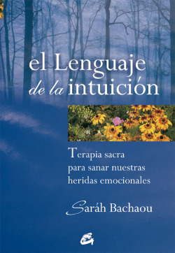 El lenguaje de la intuición