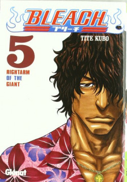 Bleach 5