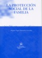 La protección social de la familia
