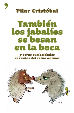 También los jabalíes se besan en la boca