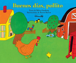 Buenos días, pollito
