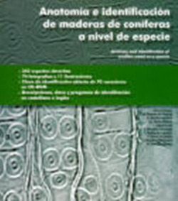 Anatomia identificacion maderas coniferas nivel especie