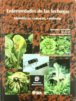 Enfermedades de la lechugas:identificar,conocer y controlar