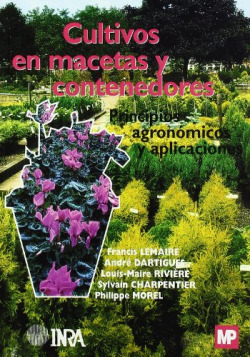 Cultivos en macetas y contenededores
