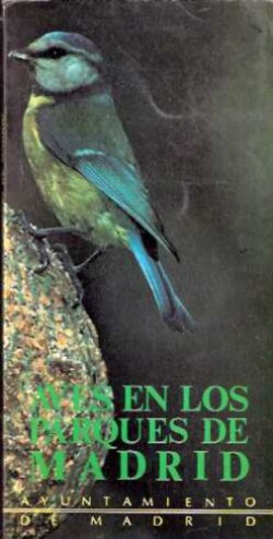 HISTORIA DE CASTILLA Y LEON