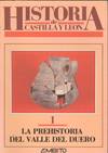 LA PREHISTORIA DEL VALLE DEL DUERO