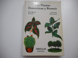 PLANTAS DOMESTICAS Y BONSAIS