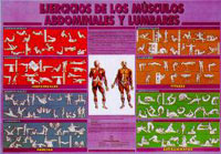 Ejercicios de los músculos abdominales y dorsales.