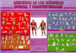 LA EDUCACION FISICA PARA 1 DE BUP