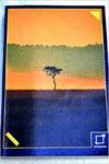 Tambores de Africa