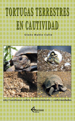 Tortugas terrestres en cautividad