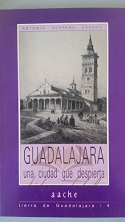 GUADALAJARA UNA CIUDAD QUE DESPIERTA