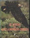 EL MUNDO DEL AGUILA IMPERIAL IBERICA