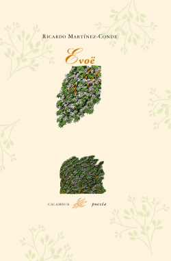 Evoe
