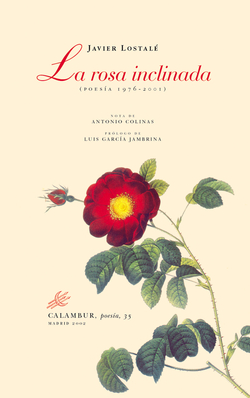 La rosa inclinada