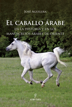 El caballo arabe