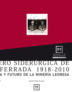 MINERO SIDERÚRGICA DE PONFERRADA 1918-2010