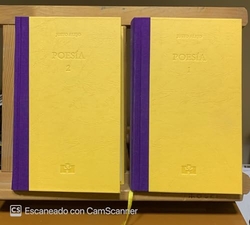 Poesía