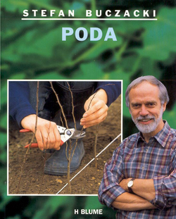 Poda