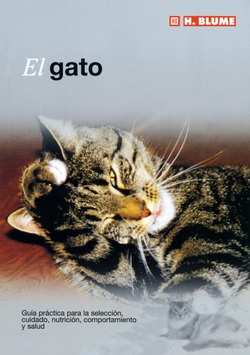 Gato