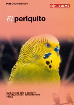 Periquito